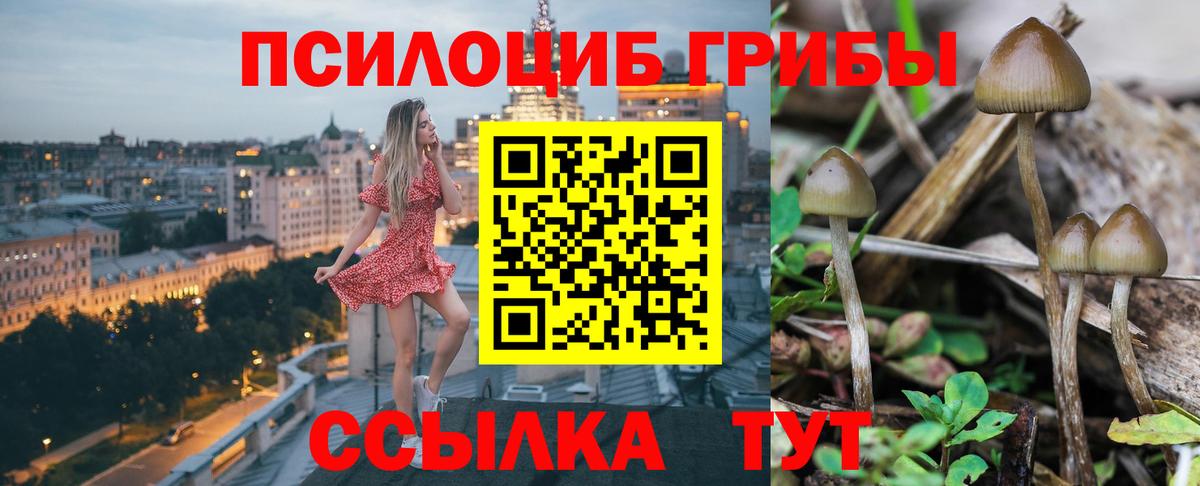 Южно-Сахалинск  Псилоцибиновые грибы Psilocybine cubensis  Вход с VPN 