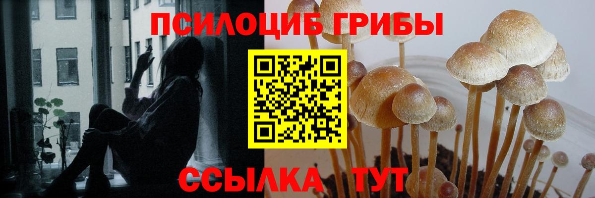 Псилоцибиновые грибы Psilocybine cubensis Южно-Сахалинск